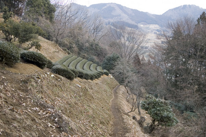 miyachi-satoyama.jpg