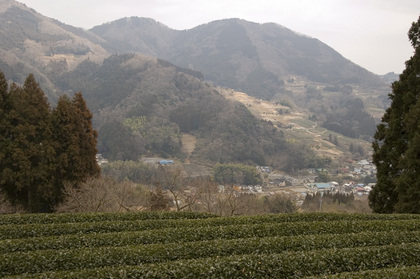 shidango-satoyama.jpg